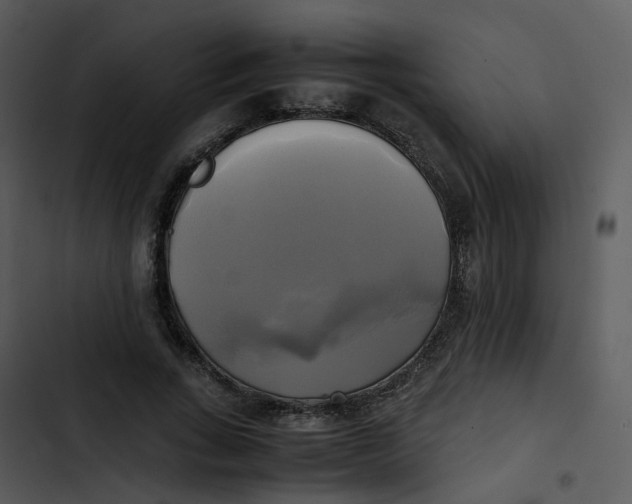 X0000102840735200809081219