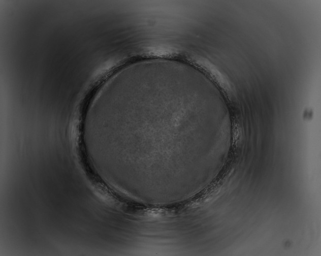 X0000102840736200809081219