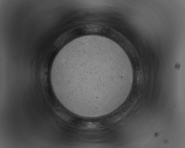 X0000102840737200809081219