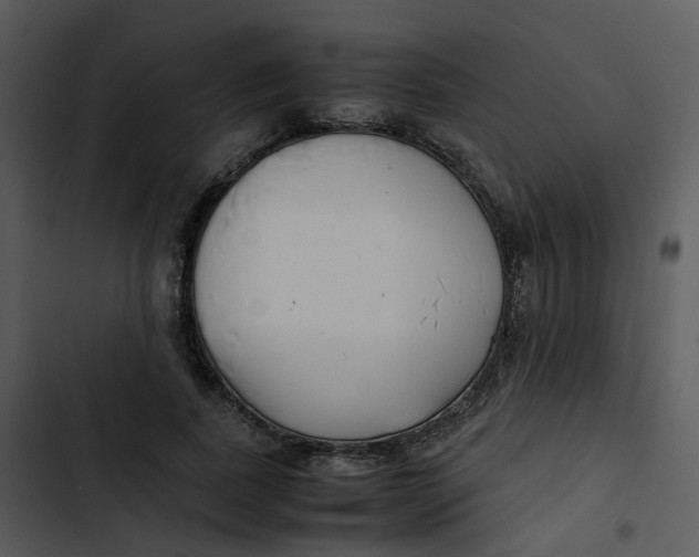 X0000102840739200809081219