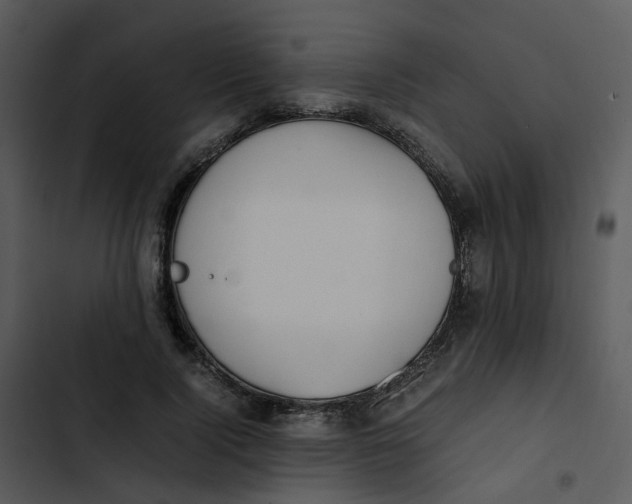 X0000102840740200809081219