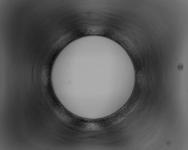 X0000102840741200809081219