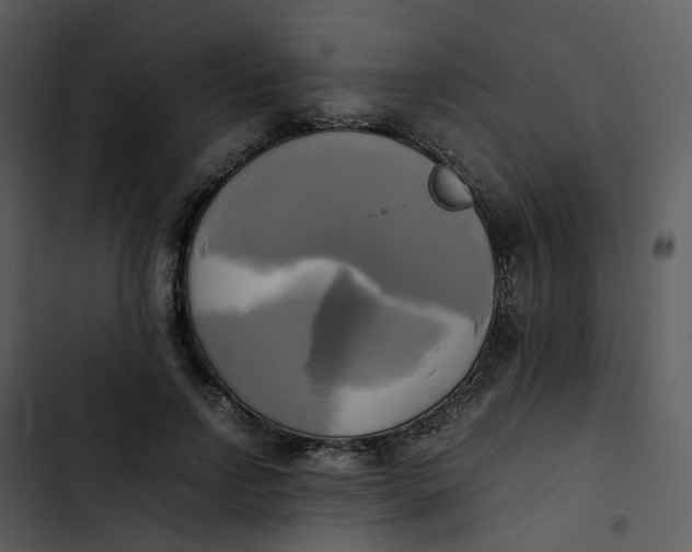 X0000102840742200809081219