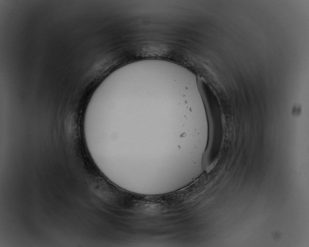 X0000102840743200809081219