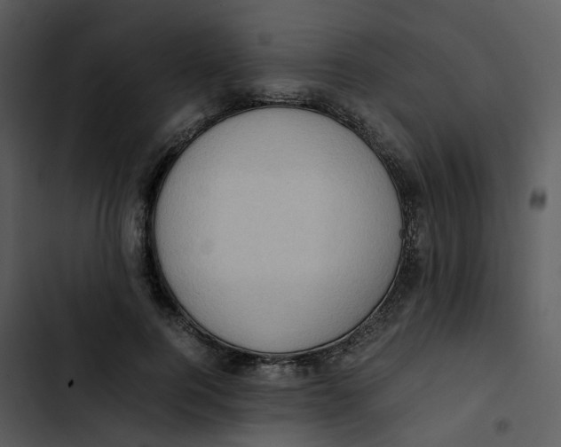 X0000102840744200809081219