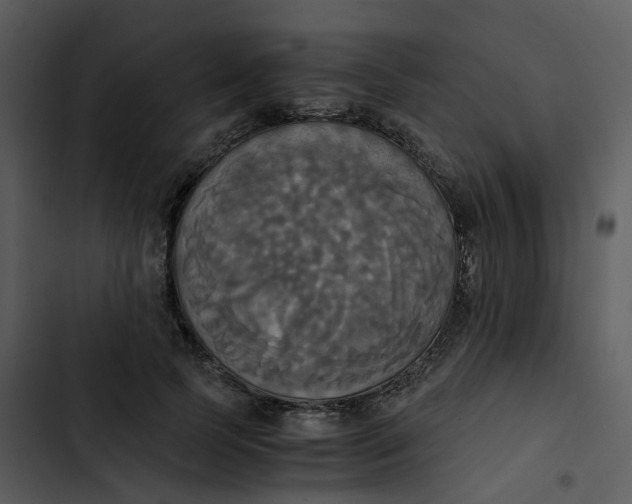 X0000102840745200809081219