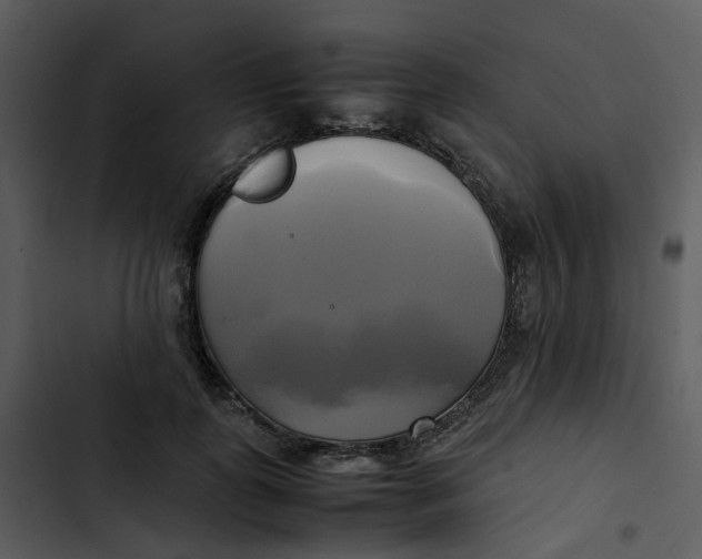 X0000102840747200809081219