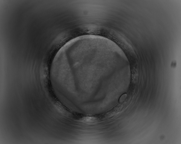 X0000102840748200809081219