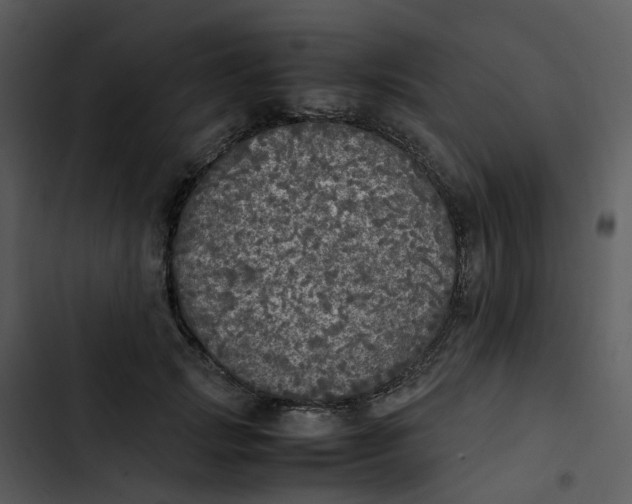 X0000102840749200809081219