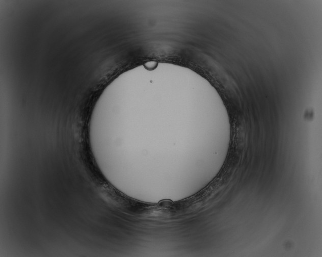 X0000102840750200809081219