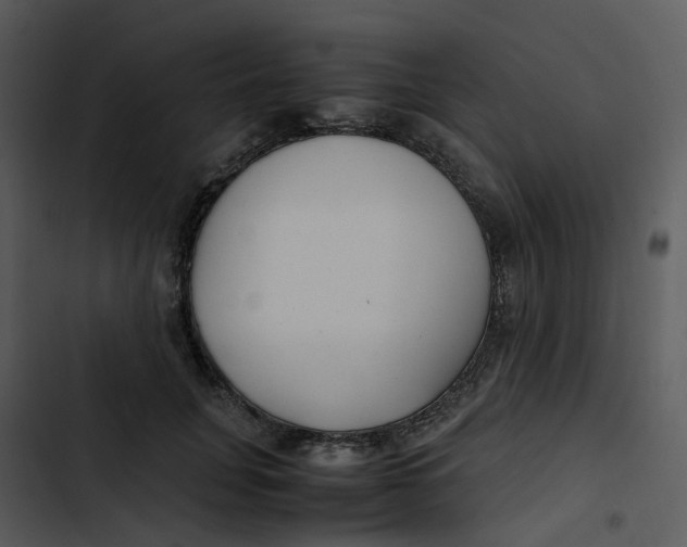 X0000102840751200809081219