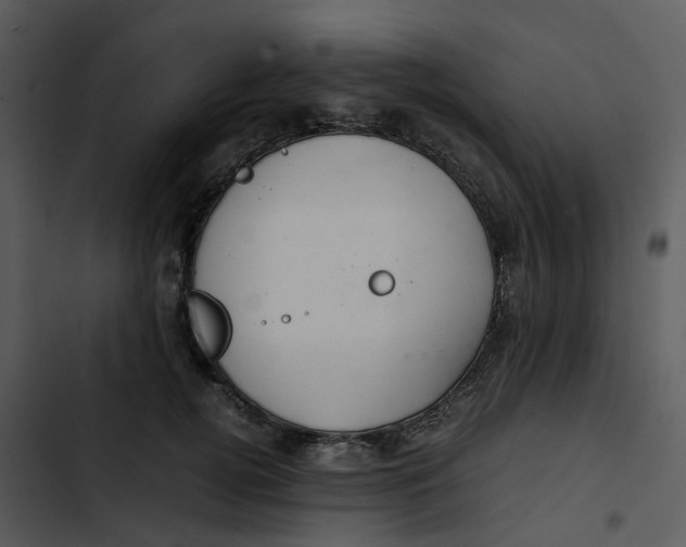 X0000102840752200809081219