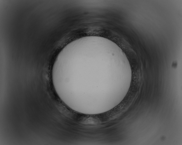 X0000102840755200809081219