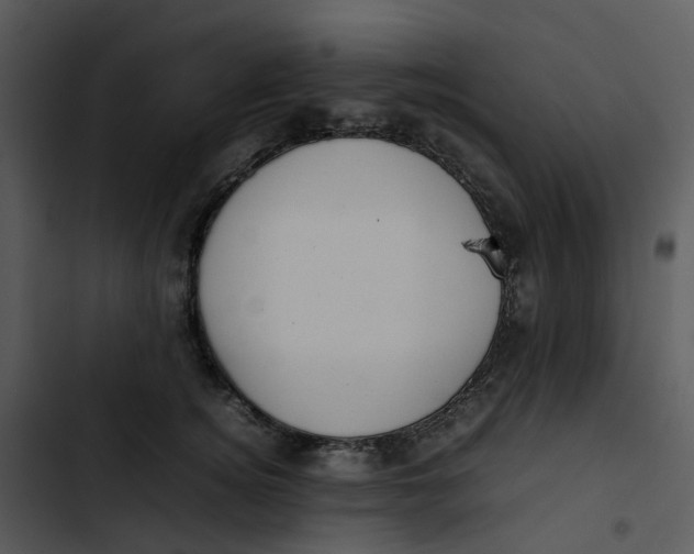 X0000102840756200809081219