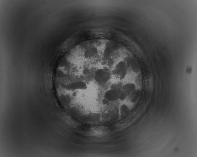 X0000102840757200809081219