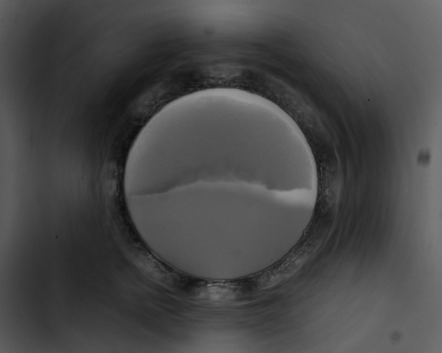 X0000102840758200809081220