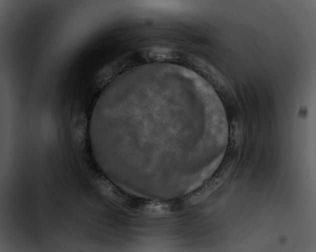 X0000102840760200809081220