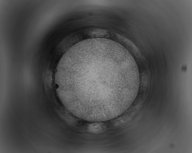 X0000102840761200809081220