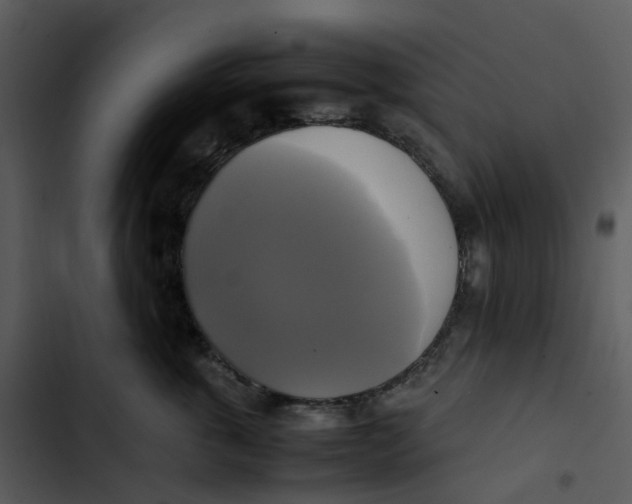 X0000102840763200809081220