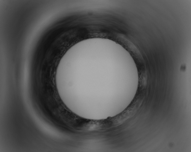 X0000102840764200809081220