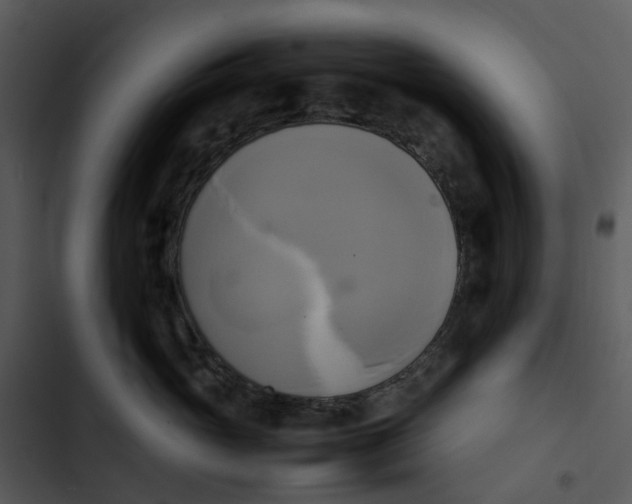 X0000102840765200809081220