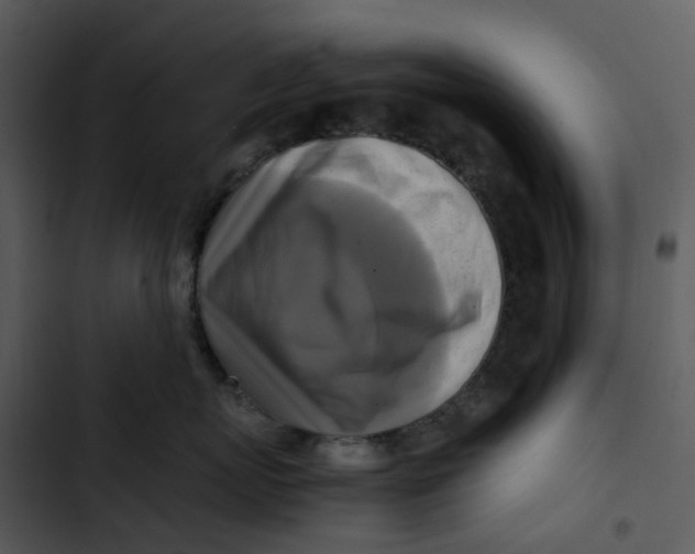 X0000102840767200809081220