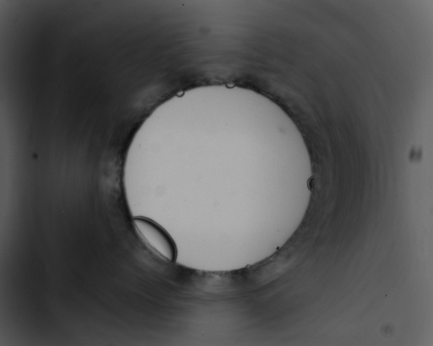 X0000102840768200809081220