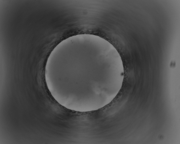 X0000102840769200809081219