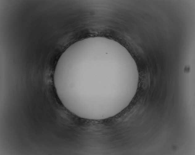 X0000102840770200809081219