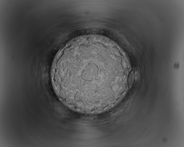 X0000102840771200809081219