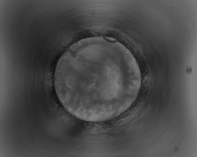 X0000102840772200809081219