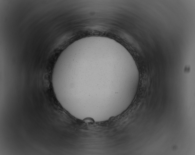 X0000102840774200809081219