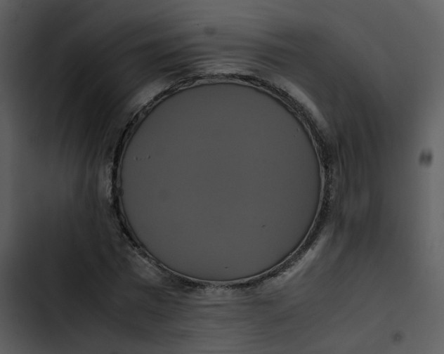 X0000102840777200809081219