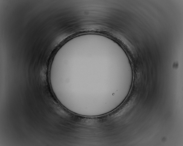 X0000102840778200809081219