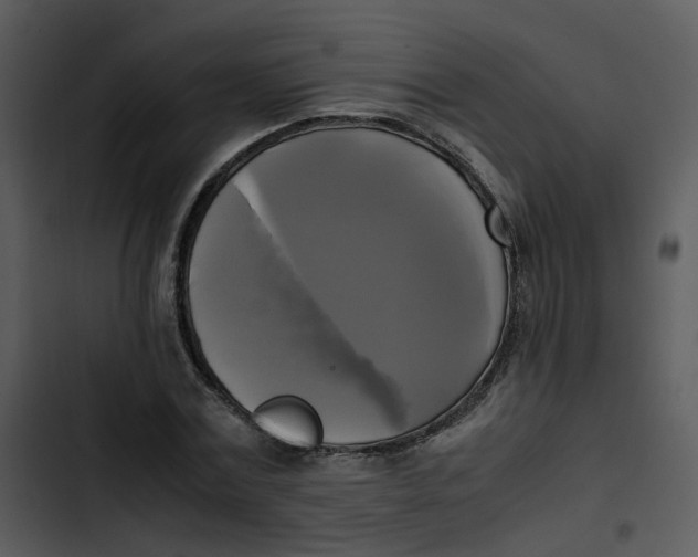 X0000102840779200809081219