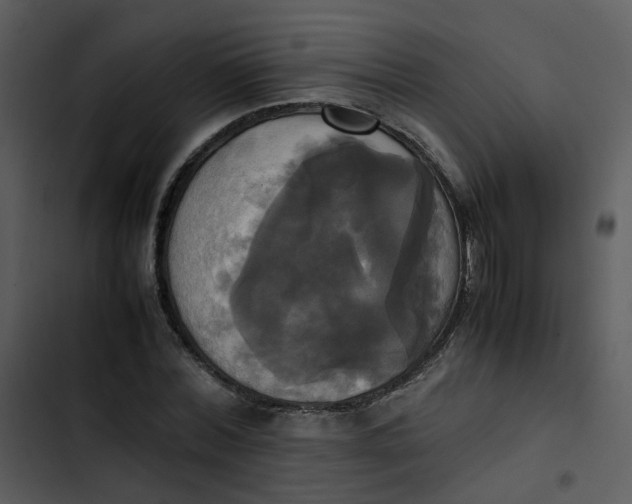 X0000102840780200809081219