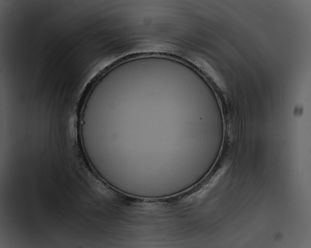 X0000102840781200809081219