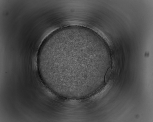 X0000102840782200809081219