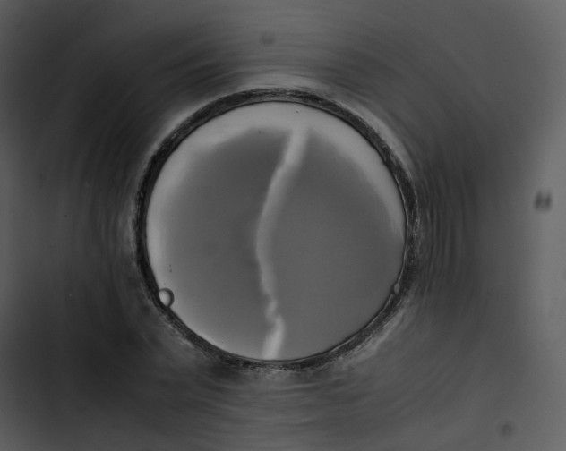 X0000102840783200809081219