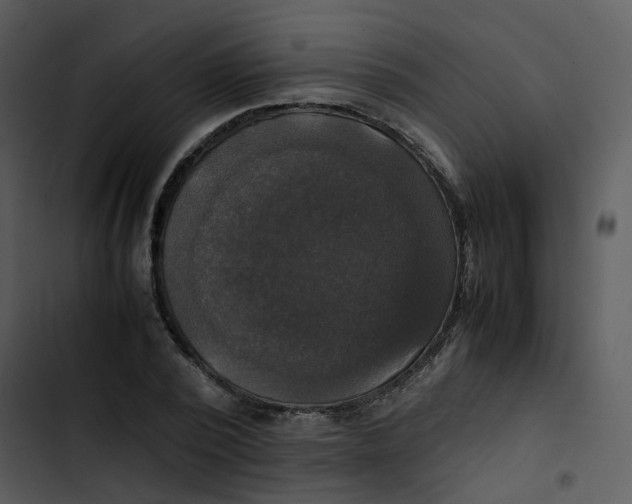 X0000102840784200809081219