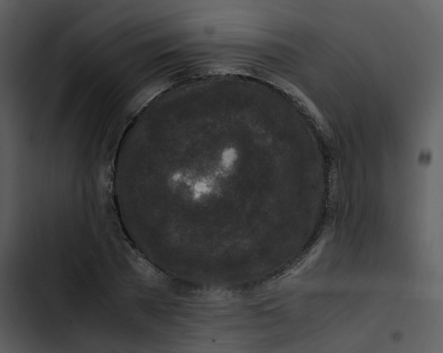 X0000102840785200809081219