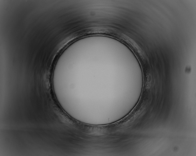 X0000102840786200809081219