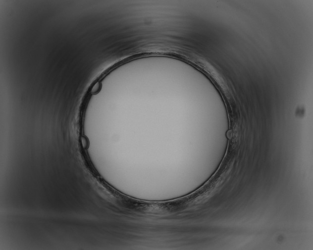 X0000102840787200809081219