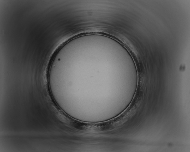 X0000102840789200809081219