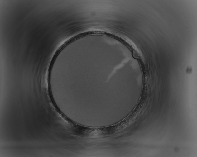 X0000102840791200809081219