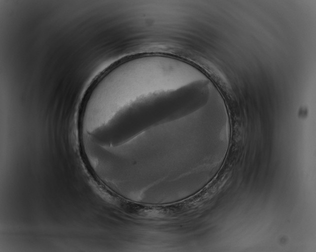 X0000102840792200809081219