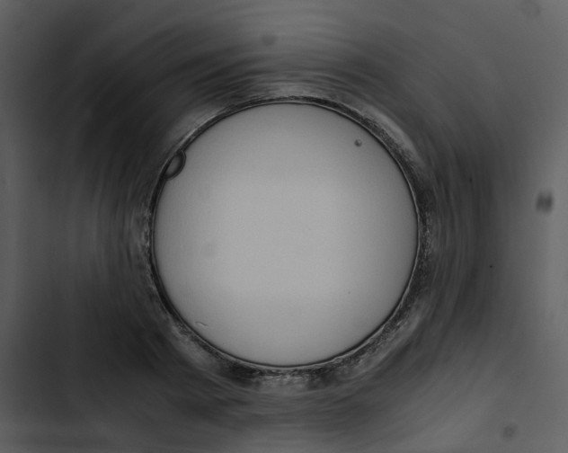 X0000102840793200809081219