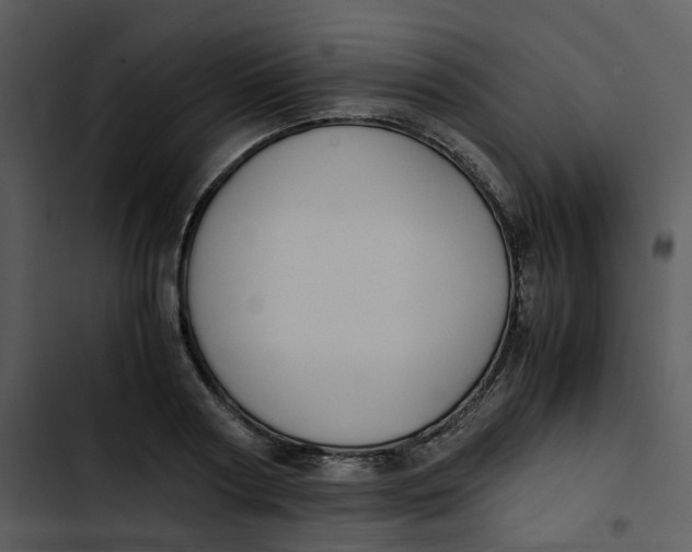 X0000102840794200809081219