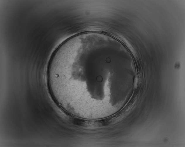 X0000102840795200809081219