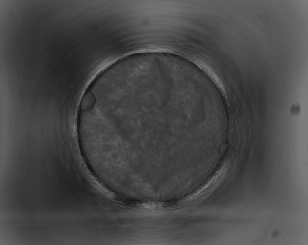 X0000102840797200809081218